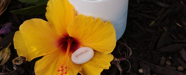 Gratitude - Amani Soaps
